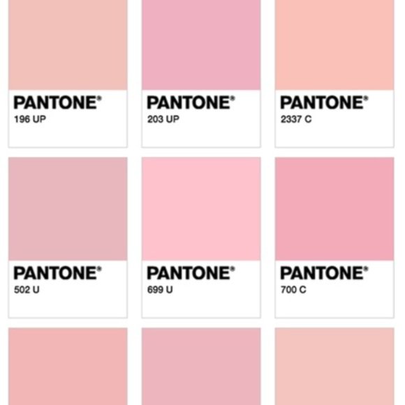 NWOT 3 Asos Tops -  Bodysuit, Camisole, & Croplette Sz 6 - Picture 15 of 16